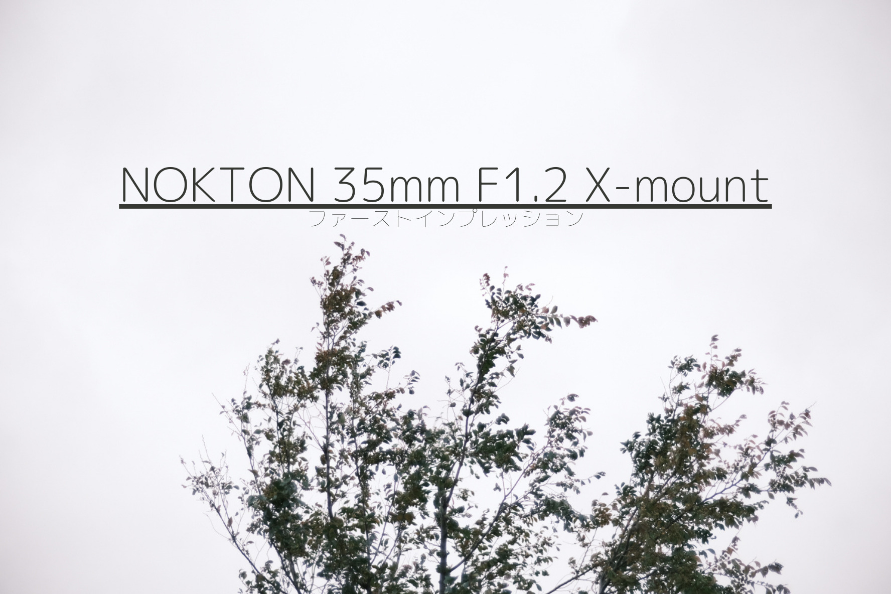 Voigtlander NOKTON mm F1.2 X mountファーストインプレッション